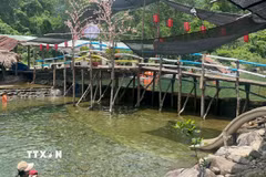 Con đập ngăn suối ở quán Dì Hường được ngăn bởi những tấm ván gỗ tràm cao 1m. (Ảnh: Văn Dũng/TTXVN)