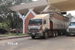 Những đoàn xe chở nông sản đầu tiên đã chính thức được thông quan sau 3 ngày chờ đợi. (Ảnh: Thanh Tân/TTXVN)