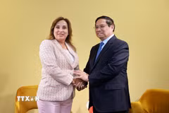 Thủ tướng Phạm Minh Chính gặp Tổng thống Peru Dina Ercilia Boluarte Zegarra. (Ảnh: Dương Giang/TTXVN)