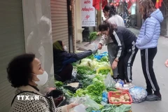 Các loại rau xanh dồi dào, giá ổn định, không tăng so với trước Tết. (Ảnh: Phương Anh/TTXVN)