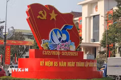 (Ảnh: Nguyễn Trọng Lịch/TTXVN)