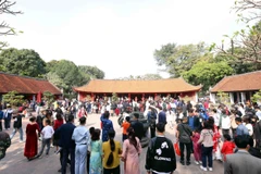 Ảnh chỉ mang tính minh họa (Nguồn: Phạm Kiên/TTXVN)