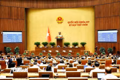 Quốc hội thông qua Luật sửa đổi, bổ sung một số điều của Bộ luật Hình sự. (Ảnh: Doãn Tấn/TTXVN)
