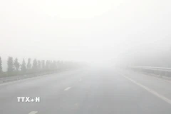 Bắc Bộ sáng sớm có sương mù. (Ảnh: Văn Đạt/TTXVN)