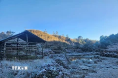 Vùng núi cao cần đề phòng xảy ra băng giá. (Ảnh: Hương Thu/TTXVN)