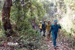 Người M’Nông, cư trú phía Tây tỉnh Lâm Đồng, tham gia quản lý, bảo vệ rừng cùng các công ty lâm nghiệp. (Ảnh tư liệu: Hưng Thịnh/TTXVN)