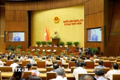 Toàn cảnh phiên họp. (Ảnh: Phương Hoa/TTXVN)