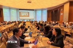Việt Nam tham gia các phiên họp về phòng vệ thương mại tại WTO
