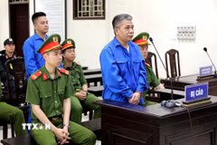 Hai bị cáo tại phiên tòa. (Ảnh: Thế Duyệt/TTXVN)