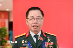 Anh hùng Lao động Trần Mạnh Báo, Chủ tịch Hội đồng quản trị Tập đoàn ThaiBinh Seed - đơn vị hàng đầu trong ngành giống lúa cây trồng Việt Nam. (Ảnh: Chu Thanh Vân/TTXVN)