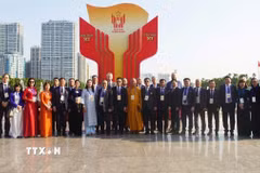 Đoàn đại biểu kiều bào tham dự Đại hội Thi đua yêu nước toàn quốc lần thứ XI. (Ảnh: Diệp Trương/TTXVN)
