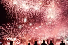 Pháo hoa thắp sáng sông Hàn tại Lễ hội pháo hoa Quốc tế Đà Nẵng 2025. (Ảnh: Quốc Dũng/TTXVN)