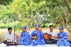 Đờn ca Tài tử Nam bộ là một dòng nhạc dân tộc của Việt Nam, đã được UNESCO công nhận là Di sản Văn hóa Phi vật thể. (Ảnh: Minh Đức/TTXVN)