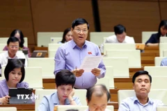 Đại biểu Quốc hội tỉnh Vĩnh Phúc Trần Văn Tiến phát biểu. (Ảnh: Phạm Kiên/TTXVN)