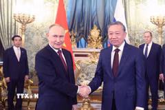 Tổng Bí thư Tô Lâm hội đàm hẹp với Tổng thống Nga Vladimir Putin. (Ảnh: Thống Nhất/TTXVN)