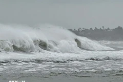 (Ảnh minh họa: Phạm Cường/TTXVN)