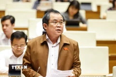 Đại biểu Quốc hội Thành phố Hồ Chí Minh Nguyễn Tâm Hùng phát biểu. (Ảnh: Doãn Tấn/TTXVN)