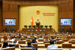 Bộ trưởng Bộ Xây dựng Trần Hồng Minh, Bộ trưởng Bộ Tài chính giải trình, làm rõ một số vấn đề đại biểu Quốc hội nêu. (Ảnh: Doãn Tấn/TTXVN)