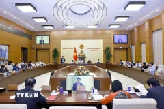 Quang cảnh phiên họp. (Ảnh: Doãn Tấn/TTXVN)