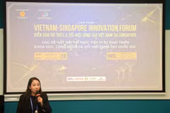 Bà Tạ Thùy Liên, Trưởng ban liên lạc Cộng đồng người Việt Nam tại Singapore. (Ảnh: TTXVN phát)