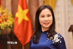 Đại sứ Việt Nam tại Sri Lanka Trịnh Thị Tâm. (Ảnh: Ngọc Thúy/TTXVN)