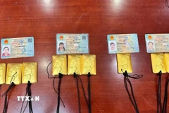 Tang vật gồm 9 miếng vàng có trọng lượng trên 2,5 kg vàng. (Ảnh: TTXVN phát)