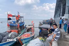 Người dân chờ làm thủ tục đăng ký, đăng kiểm tàu để ra khơi trở lại. (Ảnh: Huỳnh Phúc Hậu/TTXVN)