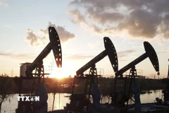 Ảnh minh họa. (Ảnh: THX/TTXVN)