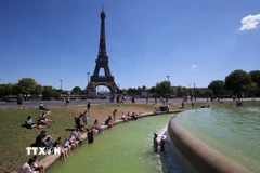 Ảnh minh họa. (Ảnh: AFP/TTXVN)