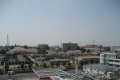 Căn cứ Asaka. (Nguồn: Wiki)