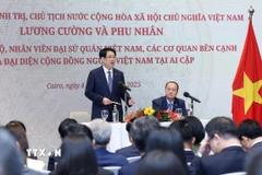 Chủ tịch nước Lương Cường nói chuyện với cán bộ, nhân viên Đại sứ quán, các cơ quan và đại diện cộng đồng người Việt Nam tại Ai Cập. (Ảnh: Lâm Khánh/TTXVN)