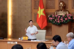 Phó Thủ tướng Hồ Đức Phớc phát biểu. (Ảnh: An Đăng/TTXVN)