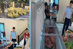 Lực lượng chức năng kiểm tra số thịt lợn nghi mắc dịch bệnh vừa thu giữ. (Ảnh: TTXVN phát)