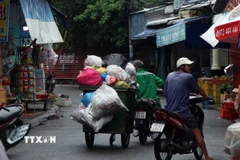 Ảnh minh họa. (Ảnh: Kim Há/TTXVN)