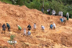 Chính quyền địa phương cùng lực lượng chức năng và người dân khẩn trương tìm kiếm người mất tích. (Ảnh: TTXVN phát)