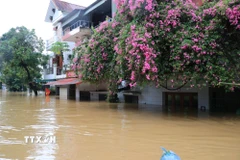 Đến ngày 30/9, nhiều hộ dân ở Lào Cai bị ngập sâu tới 3m. (Ảnh: Tuấn Anh/TTXVN)