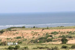 Nơi được chọn xây dựng Nhà máy điện hạt nhân Ninh Thuận 1 tại xã Phước Dinh. (Ảnh: Công Thử/TTXVN)