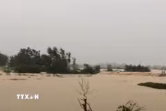 Nước lũ dâng cao làm vỡ đê bối sông Cầu tại tổ 33, phường Phan Đình Phùng, tỉnh Thái Nguyên. (Ảnh: Thảo Nguyên/TTXVN)