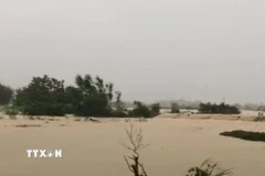 Nước lũ dâng cao làm vỡ đê bối sông Cầu tại tổ 33, phường Phan Đình Phùng, tỉnh Thái Nguyên. (Ảnh: Thảo Nguyên/TTXVN)