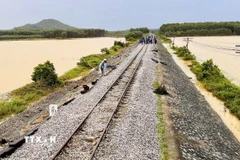 Ảnh minh họa. (Ảnh: Nguyên Linh/TTXVN)