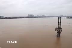 Mực nước sông Hồng đoạn chảy qua Thủ đô Hà Nội dâng cao chịu ảnh hưởng liên tiếp mưa lớn từ cơn bão số 10 và hoàn lưu vùng áp thấp suy yếu từ cơn bão số 11. (Ảnh: Vũ Quang Đán/TTXVN)