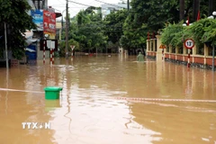 Mưa lớn gây ngập úng một số tuyến phố ở phường Minh Xuân. (Ảnh: Quang Cường/TTXVN)