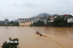 Lực lượng chức năng tuần tra trên sông Hiến. (Ảnh: Chu Hiệu/TTXVN)