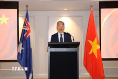 Tổng Lãnh sự Việt Nam tại Sydney Nguyễn Thanh Tùng. (Ảnh: Thanh Tú/TTXVN)