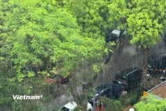 Cảnh báo mưa trên khu vực nội thành Hà Nội. (Ảnh: Vietnam+)