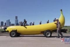 Những kỷ lục mới của Sách Kỷ lục Guiness 2026