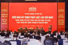 Quang cảnh diễn đàn. (Ảnh: Doãn Tấn/TTXVN)