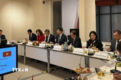 Đoàn công tác của Bộ Nội vụ tại cuộc làm việc với các lãnh đạo bang Thuringia. (Ảnh: Thu Hằng/TTXVN)