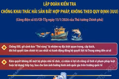 Thủ tướng chỉ đạo lập đoàn kiểm tra chống khai thác IUU