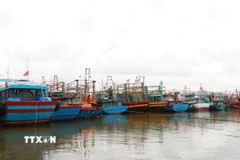 Chủ động ứng phó áp thấp nhiệt đới. (Ảnh: Nguyên Lý/TTXVN)